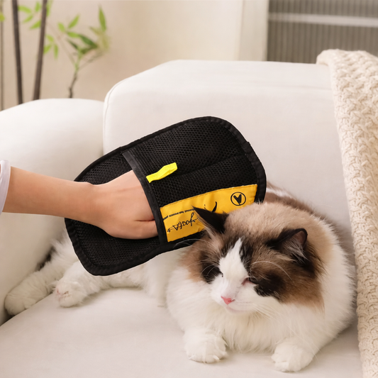 CLEANLIO™ Tierhaar-Entferner Handschuh